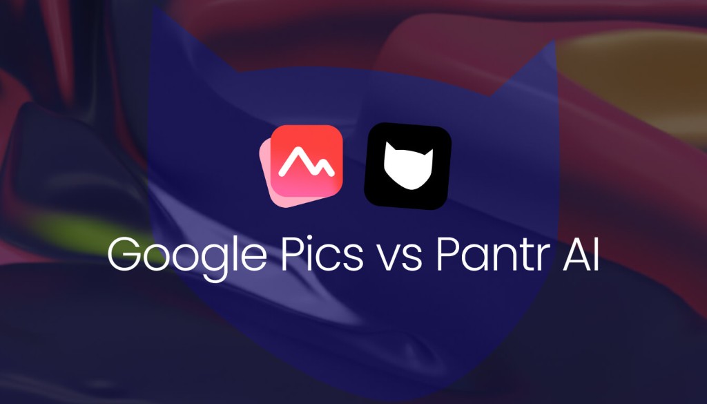 Pantr AI vs Google Pics
